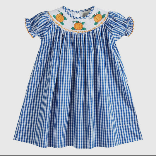 Blue Gingham dress